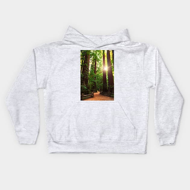 Redwood Forest Kids Hoodie by jswolfphoto